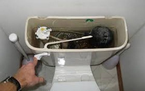 Toilet Water Leak in LA
